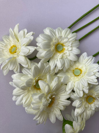 White Gerbera Bunch