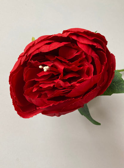 Red Peony Stem