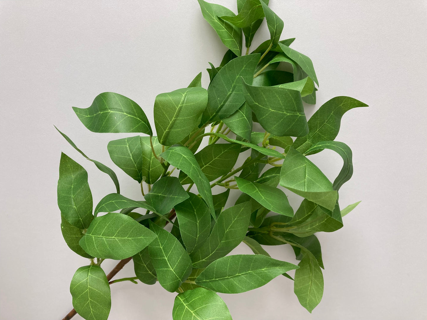 Large Shikibi Leaf Spray