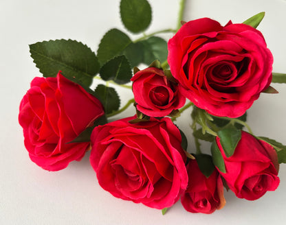 Red Rose Mixed Bud Spray