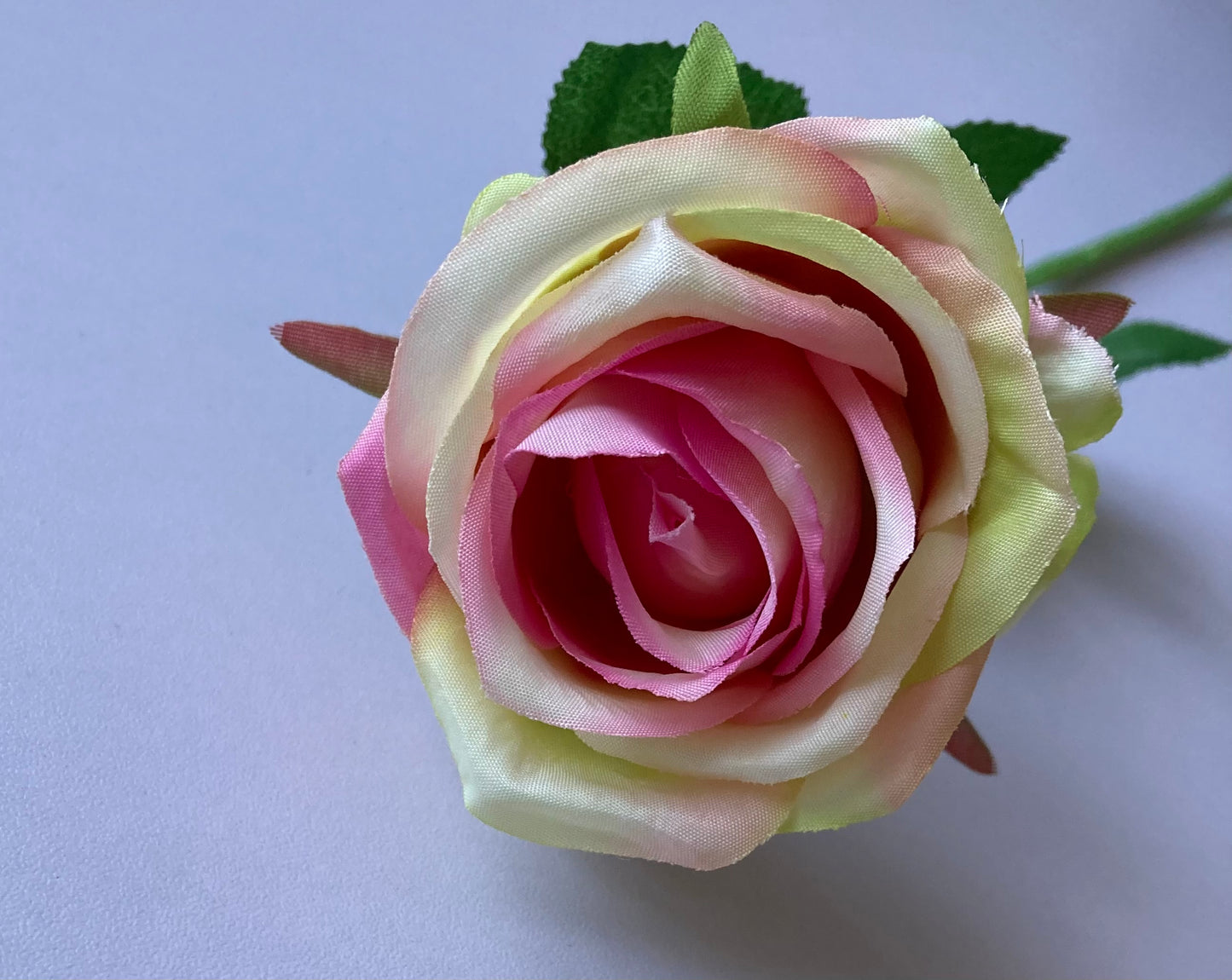 Pink & Green Small Rose