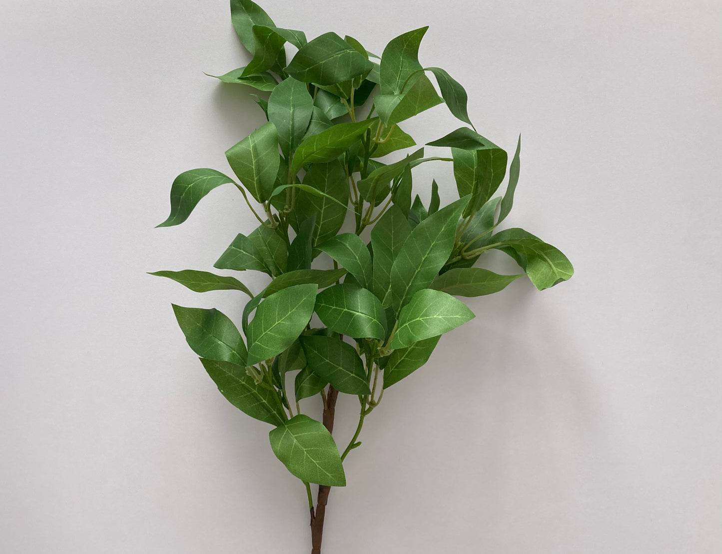 Large Shikibi Leaf Spray