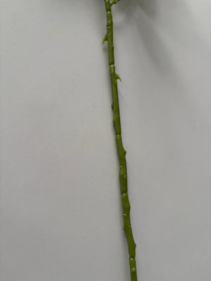 Red Rose Mixed Bud Spray