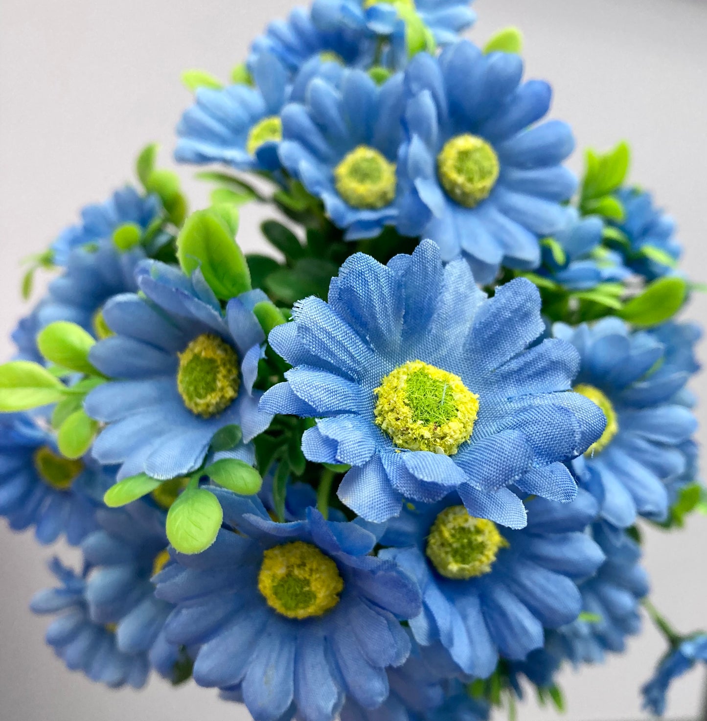 Blue Daisy Bunch