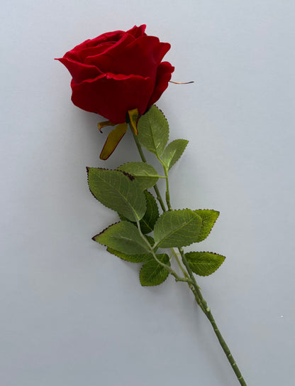 Long Stem Velvet Red Rose