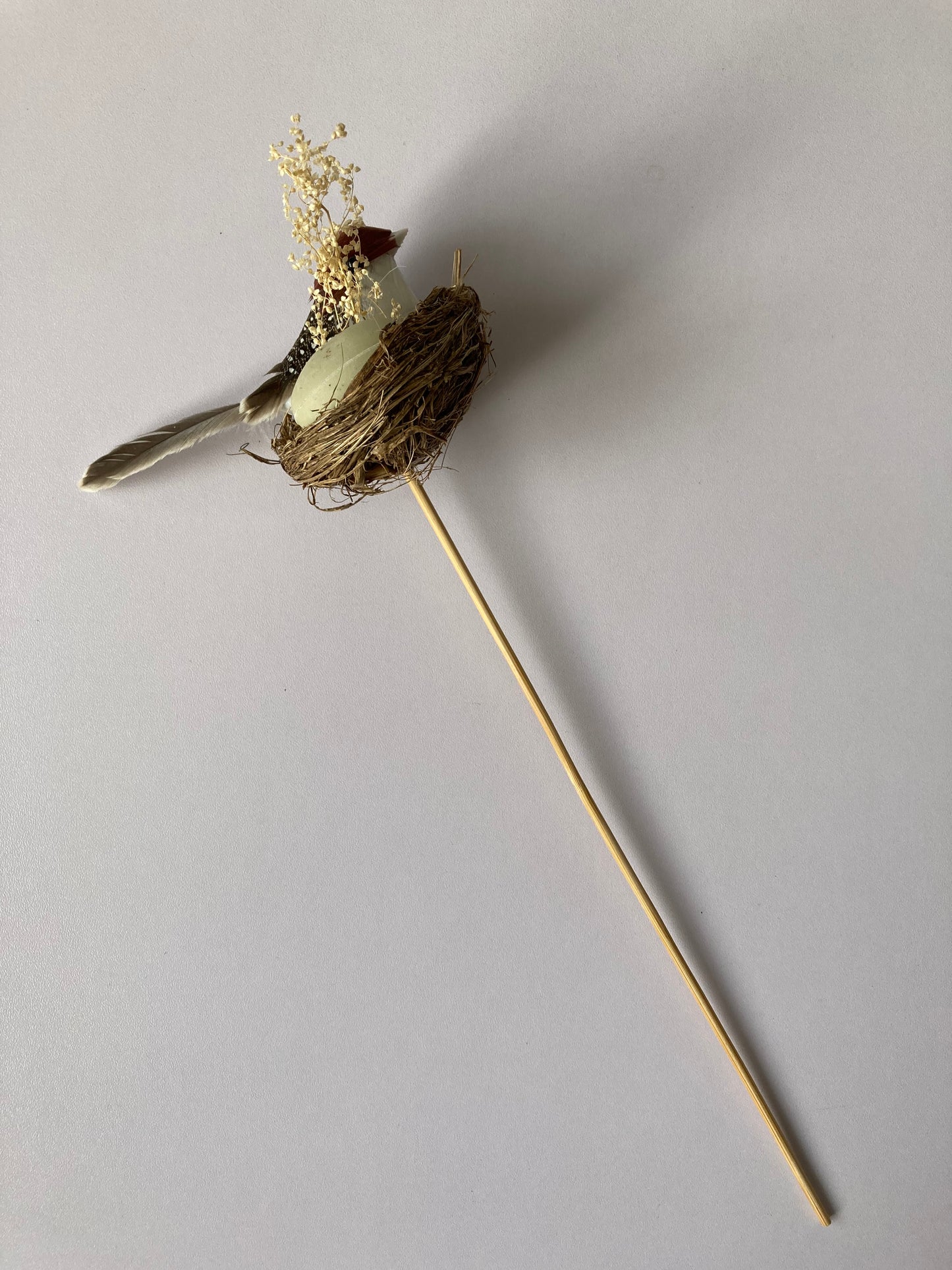 Bird Nest Pick
