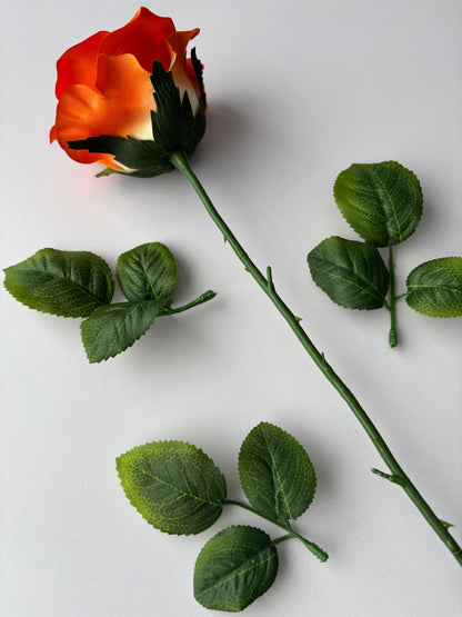 67cm Orange Rose Single Long Stem