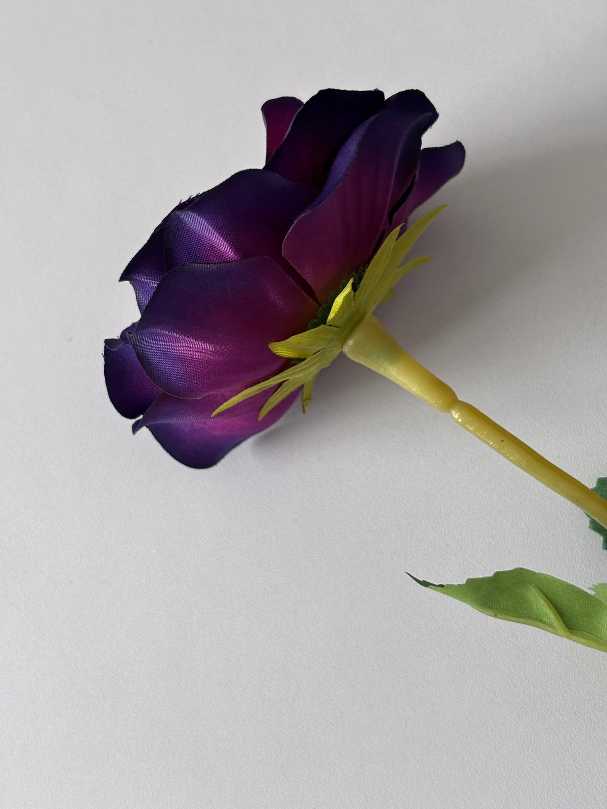Portrait shot of an artificial purple anemone single stem showing the closed partially open deep purple flower bud with dark purple petals fading to black at the edges bright yellow-green calyx and wired stem with dark green serrated foliage leaf on a plain light background