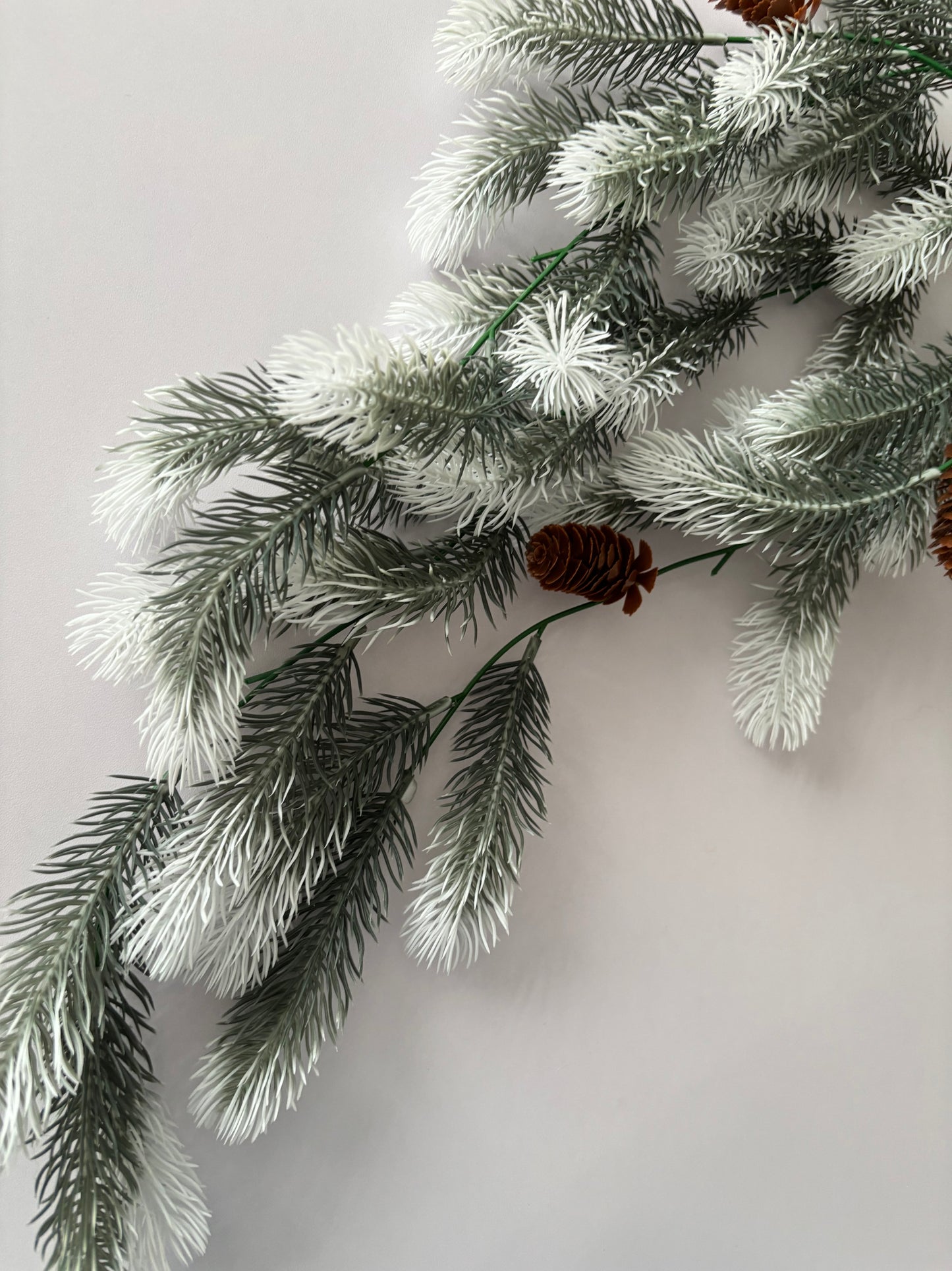 Snowy Tipped Spruce Trailing