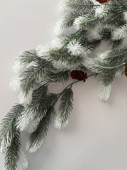 Snowy Tipped Spruce Trailing