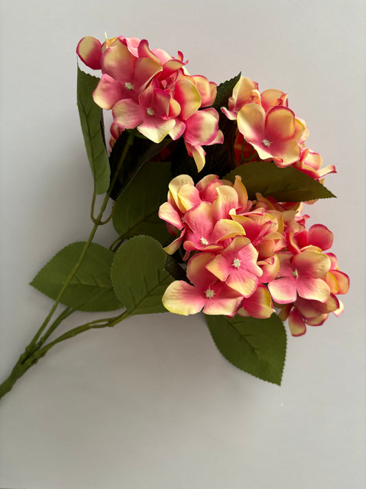 Large Pink/Peach Hydrangea Bunch