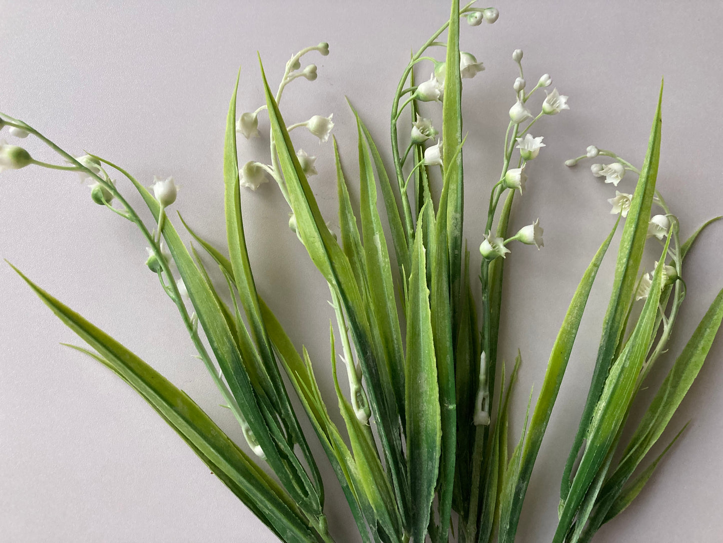 White Lily Of The Valley