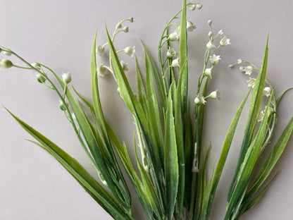 White Lily Of The Valley