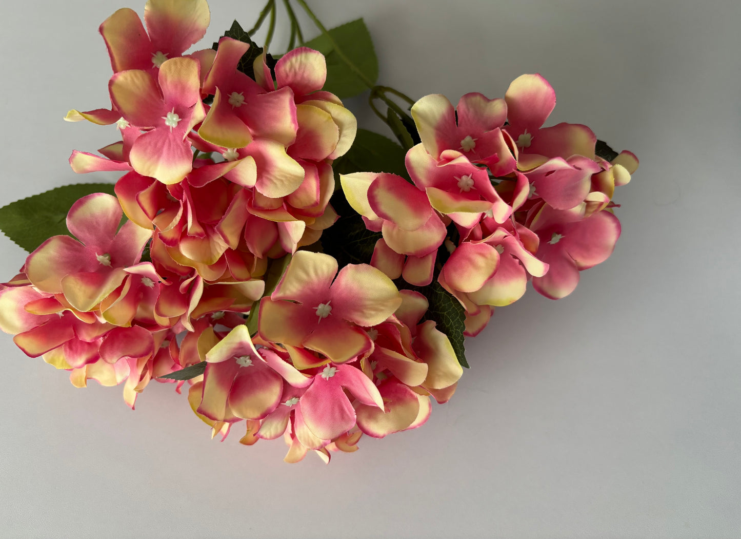Large Pink/Peach Hydrangea Bunch