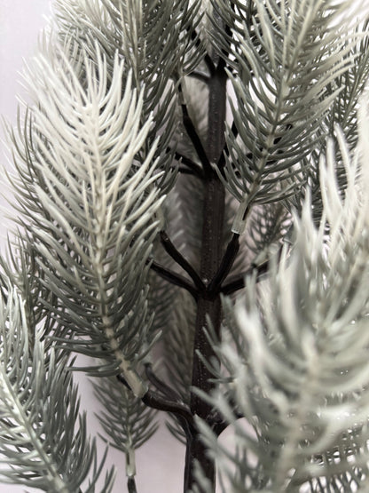 Small Snowy Spruce Tree