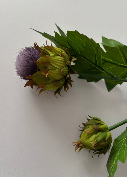Thistle Spray