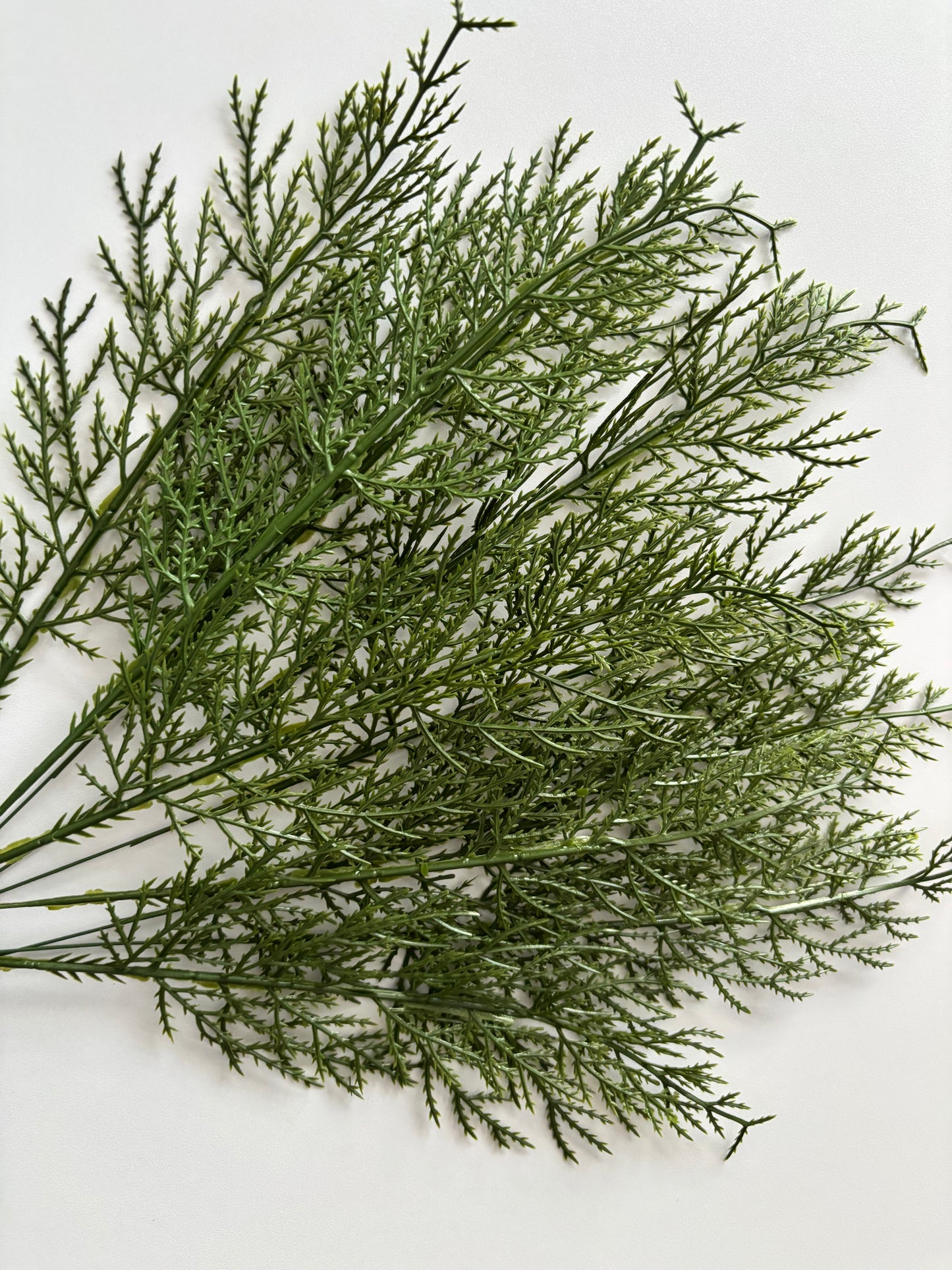 10 Cedar Single Stems