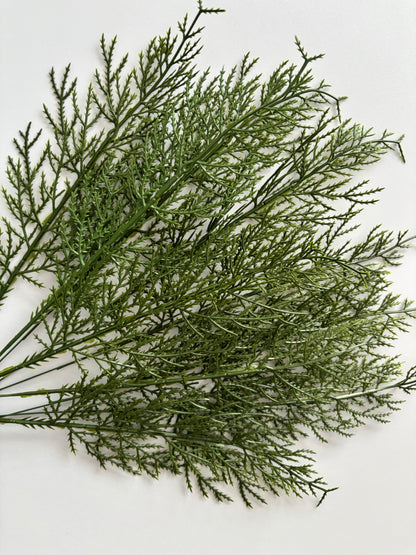 10 Cedar Single Stems