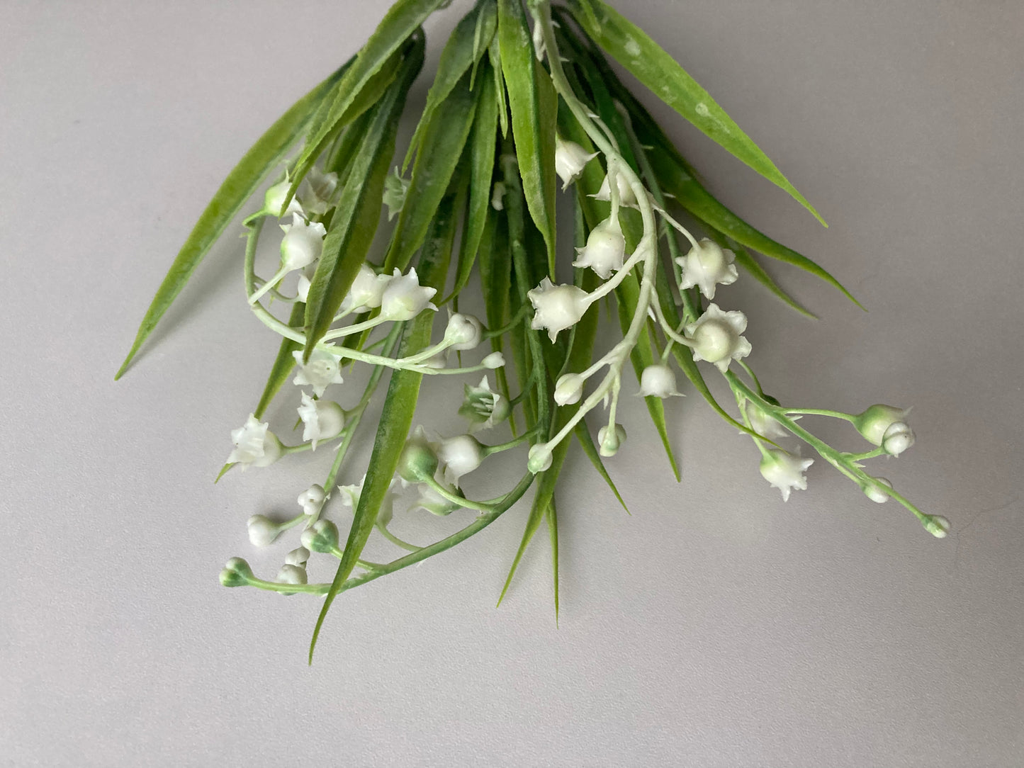 White Lily Of The Valley