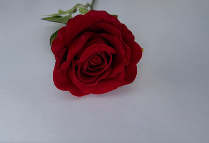 Long Stem Velvet Red Rose