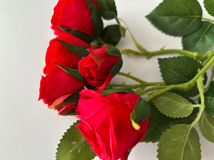 Red Rose Mixed Bud Spray