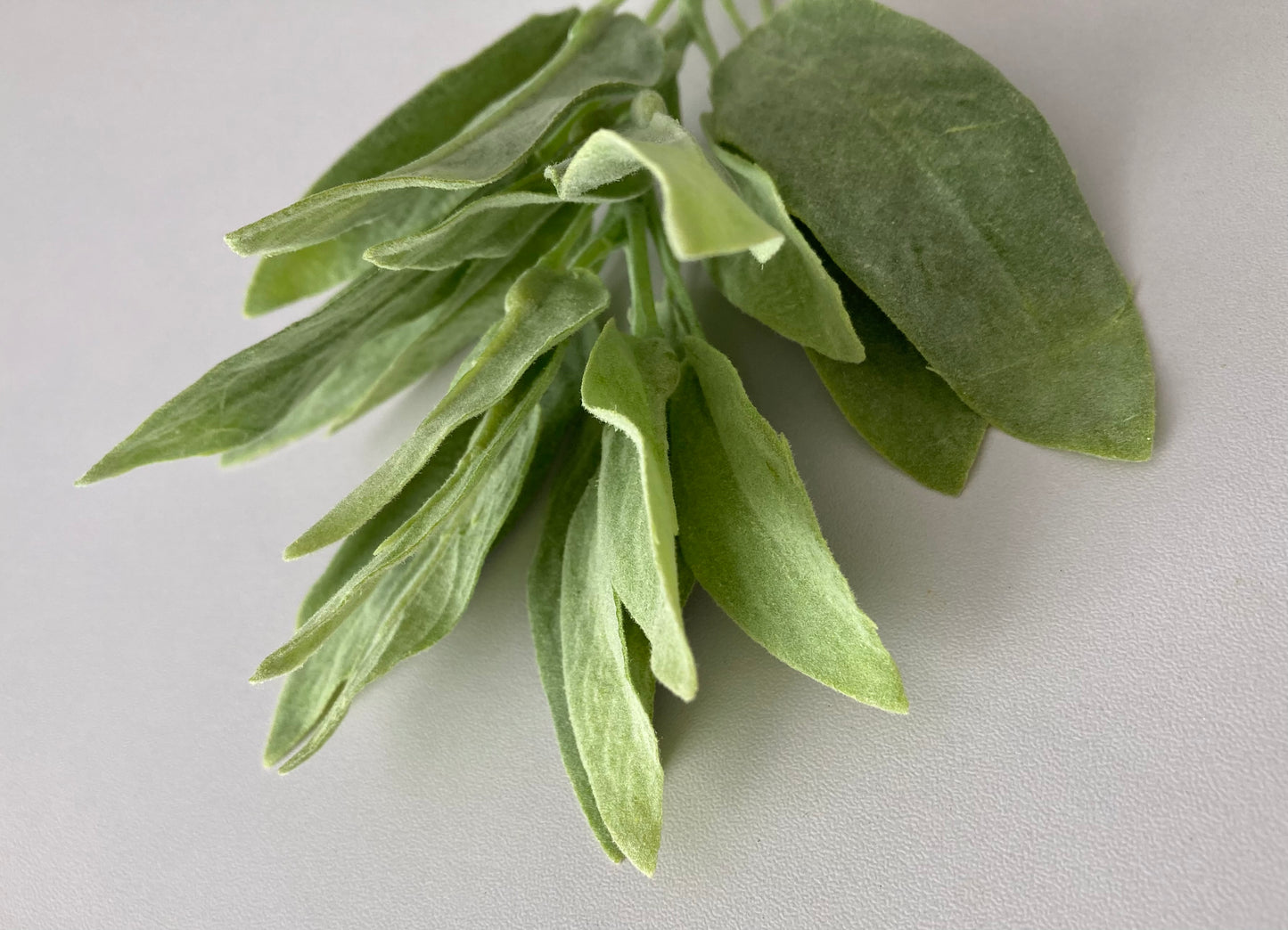 Flocked Sage Foliage Spray
