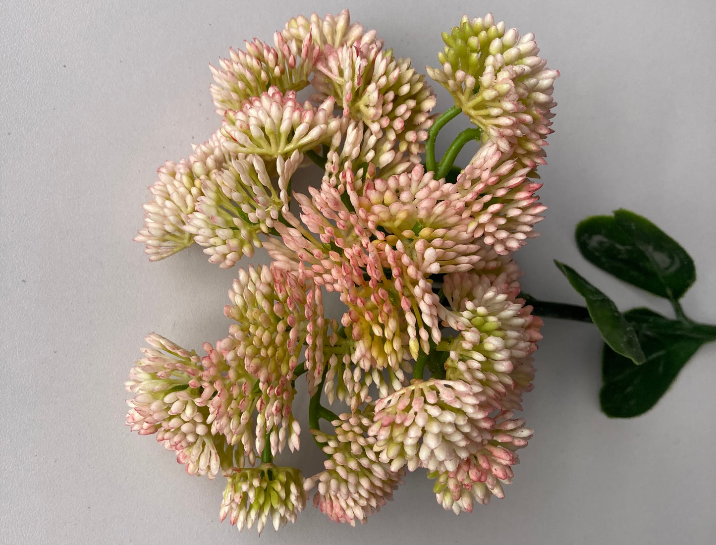 Light Pink Sedum Spray