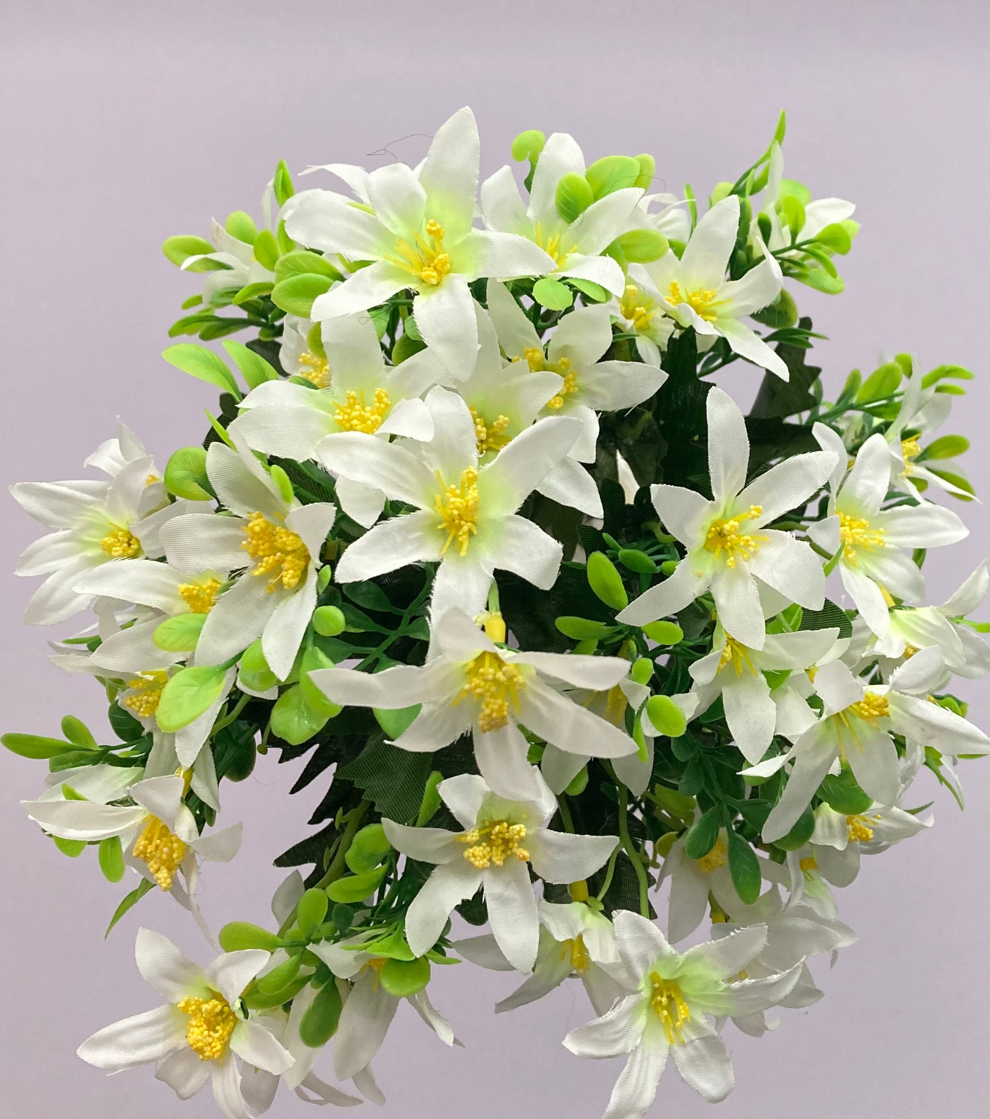 white wild lily flower White Wild Lily Bunch
