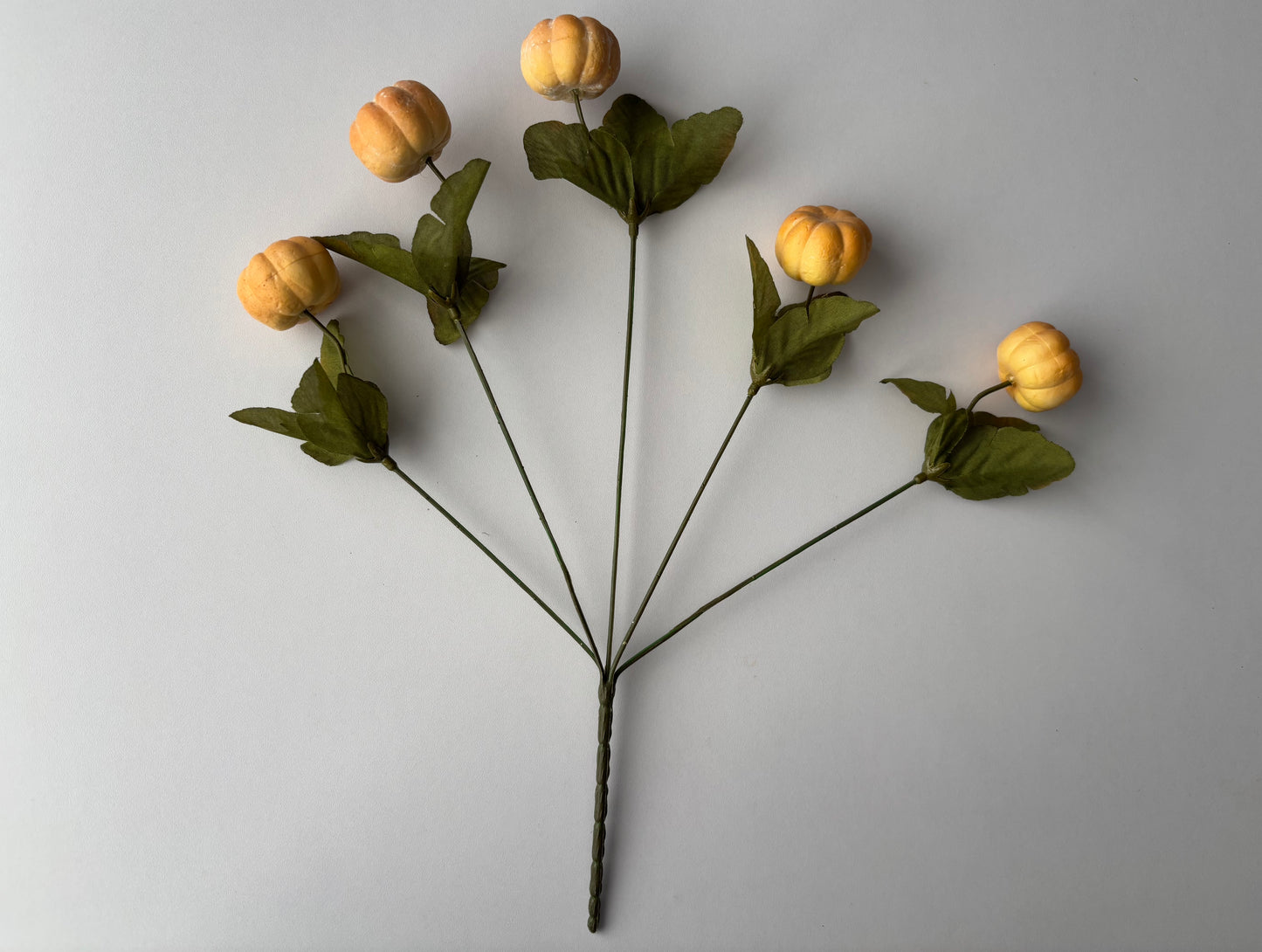 Soft Brown Pumpkin Bunch
