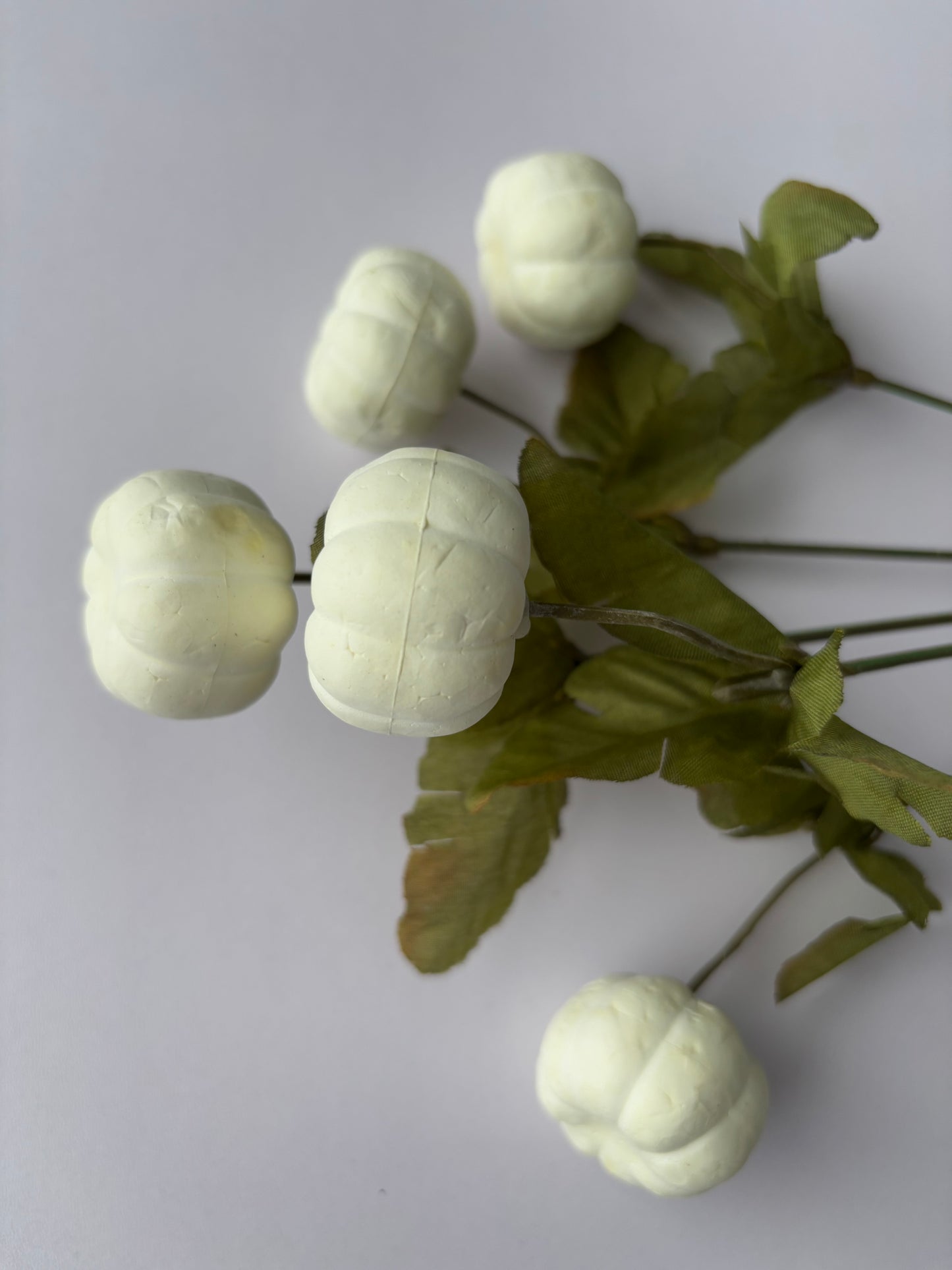 White Pumpkin Bunch