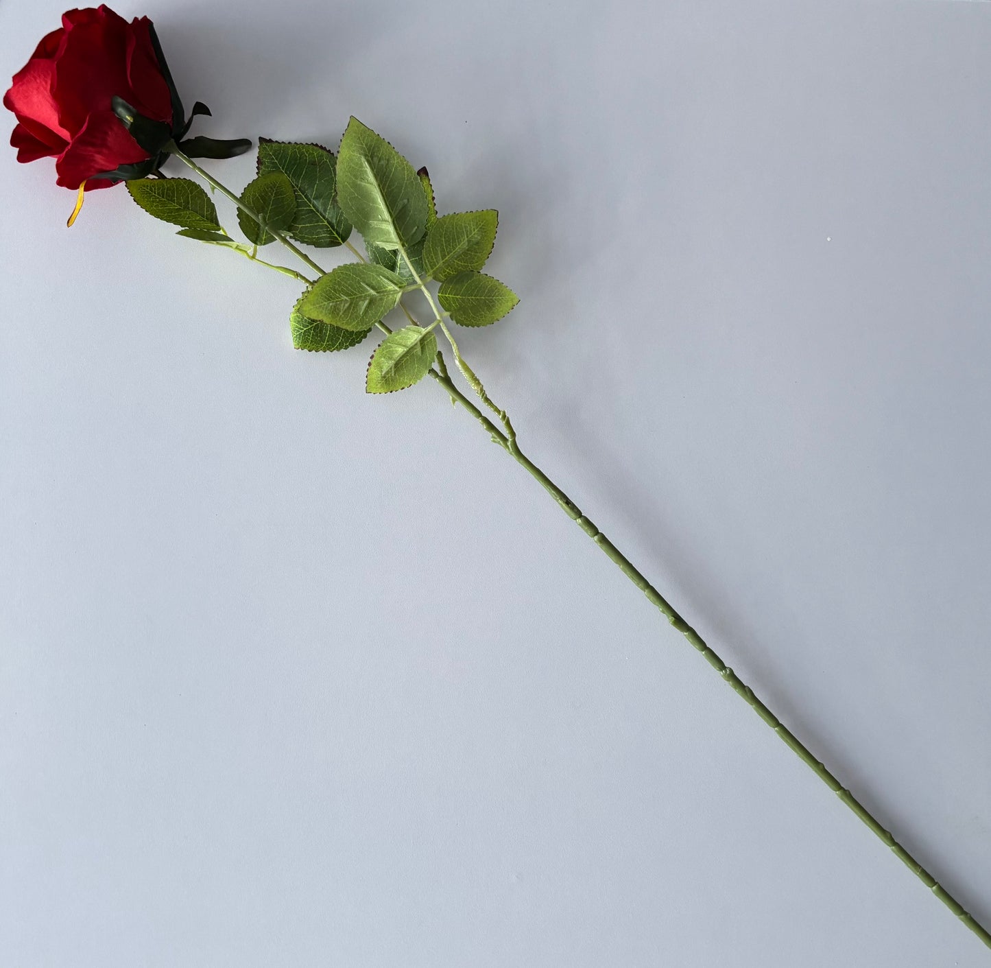 Long Stem Velvet Red Rose