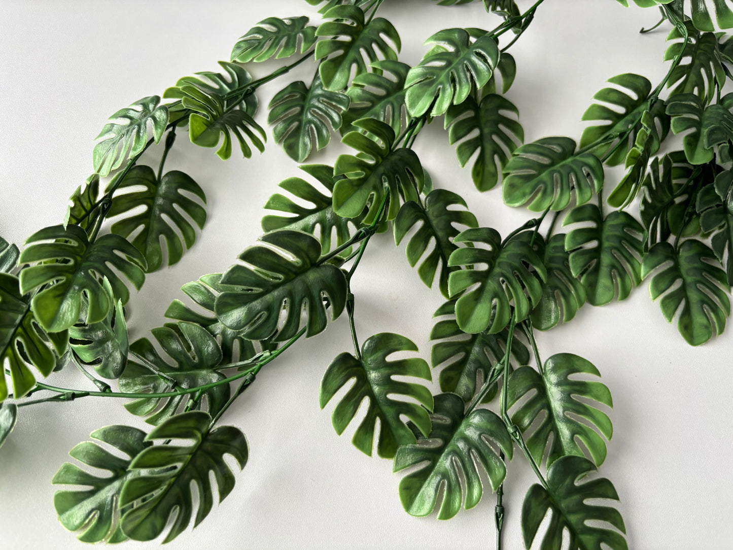 Trailing Monstera Leaf
