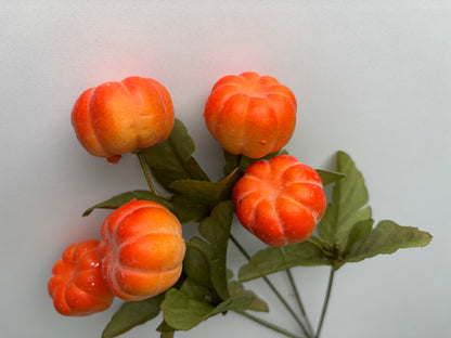 Orange Pumpkin Bunch