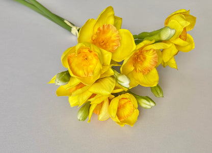 Small Daffodil Bunch