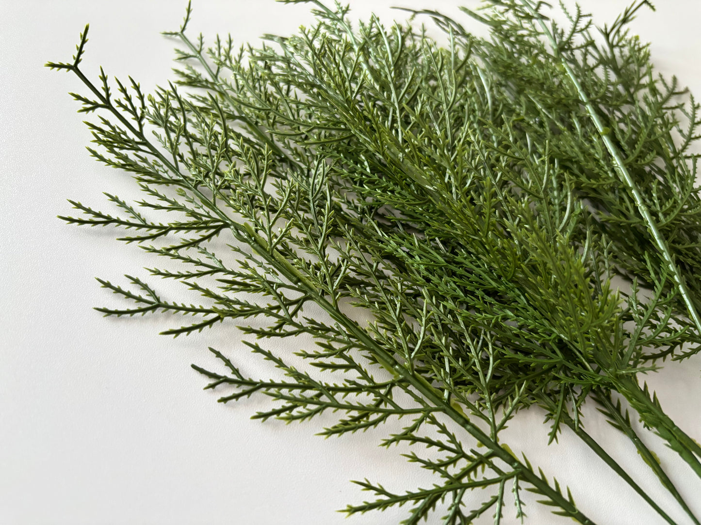 10 Cedar Single Stems