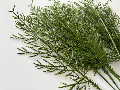 10 Cedar Single Stems