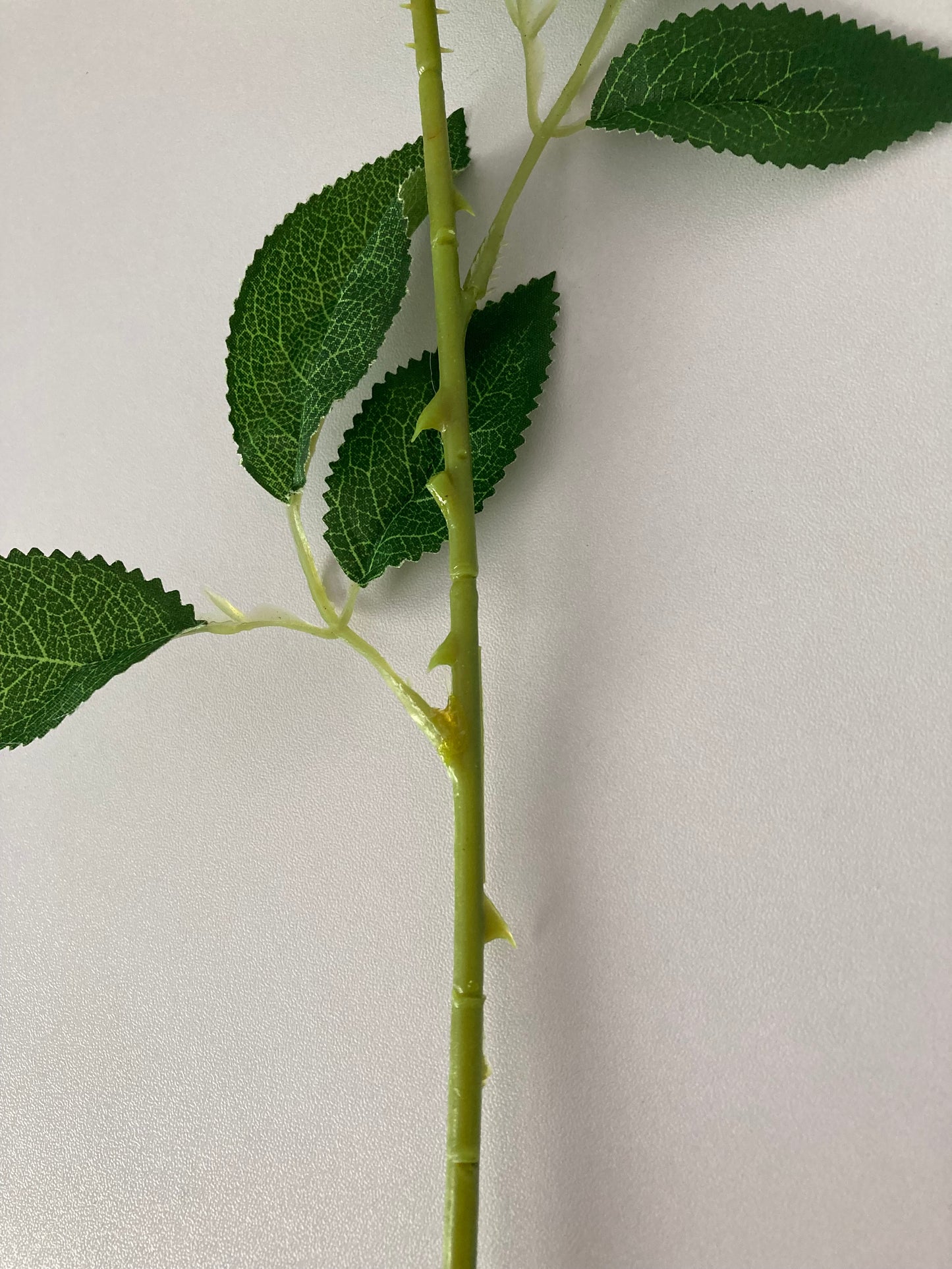 55cm Velvet Rainbow Rosebud
