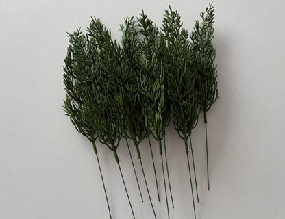 10 Cypress Branch Stems