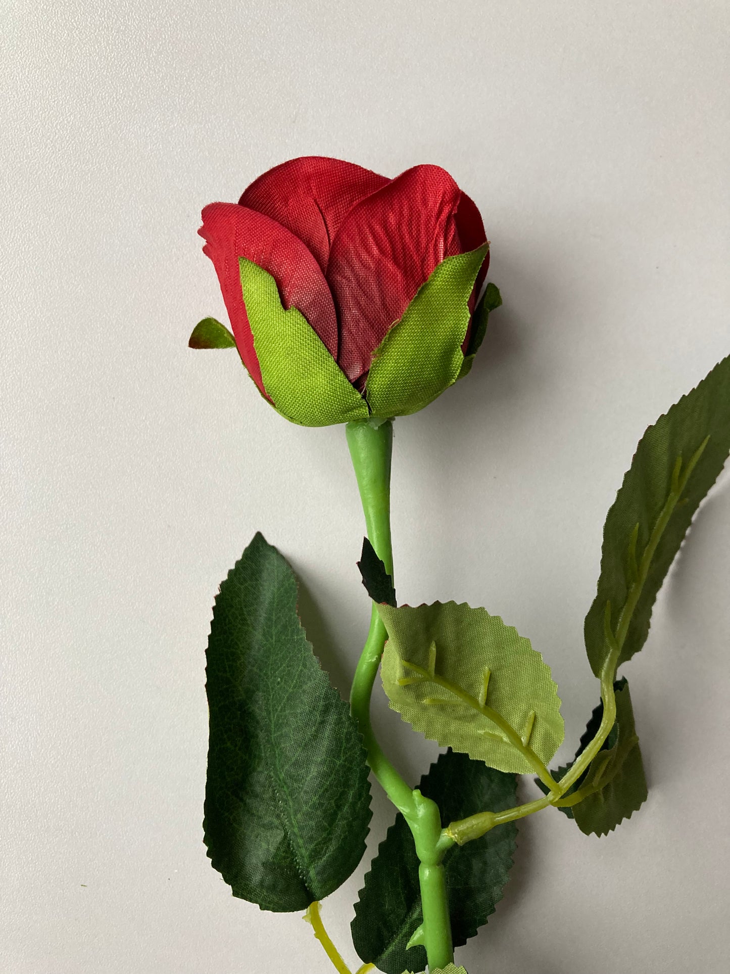 Red Velvet Rose Bud Stem