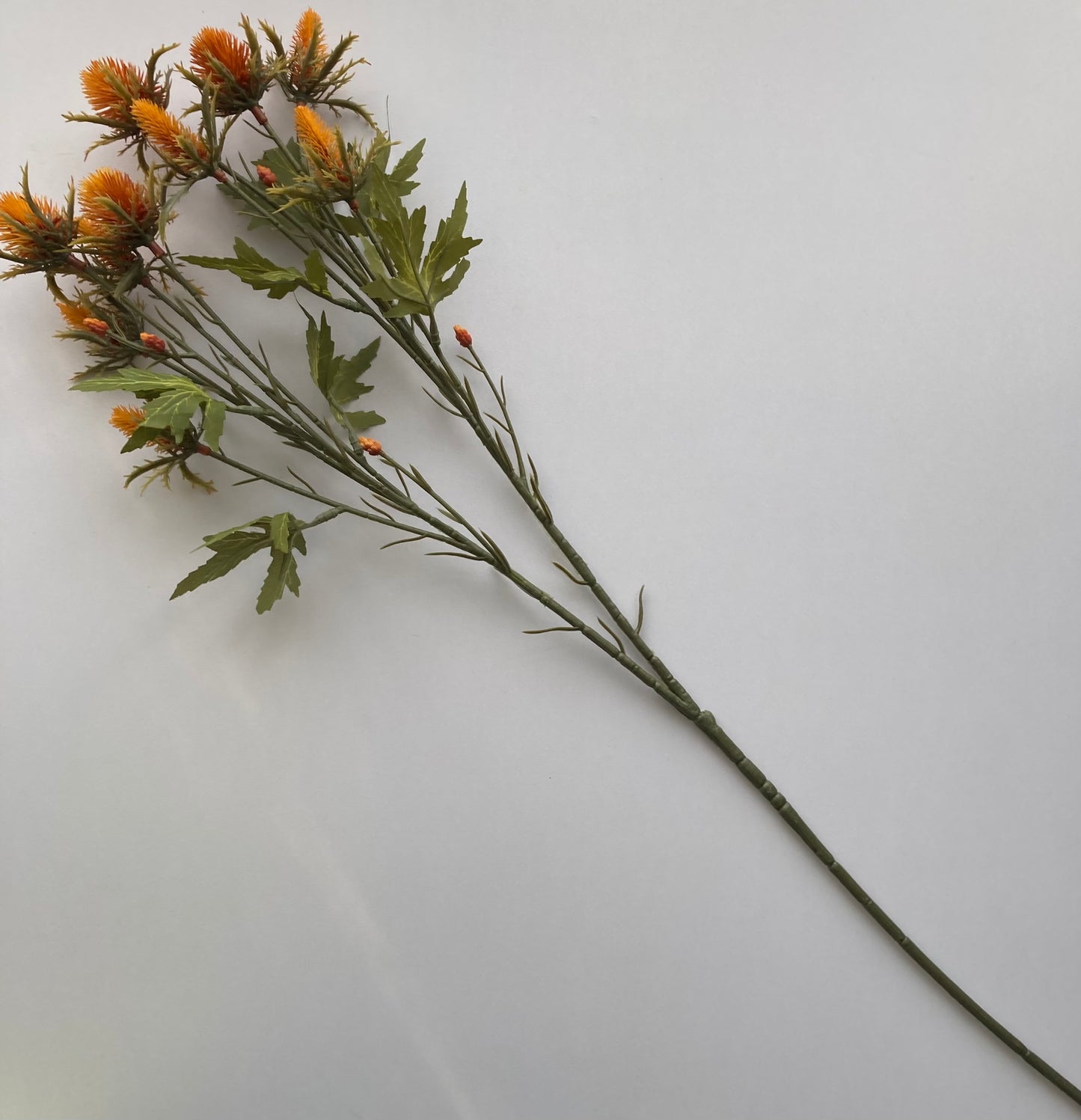 Dry Sea Holly Spray