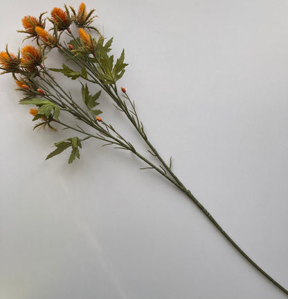 Dry Sea Holly Spray