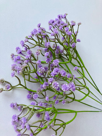 6 Stem Purple Gyp Bunch