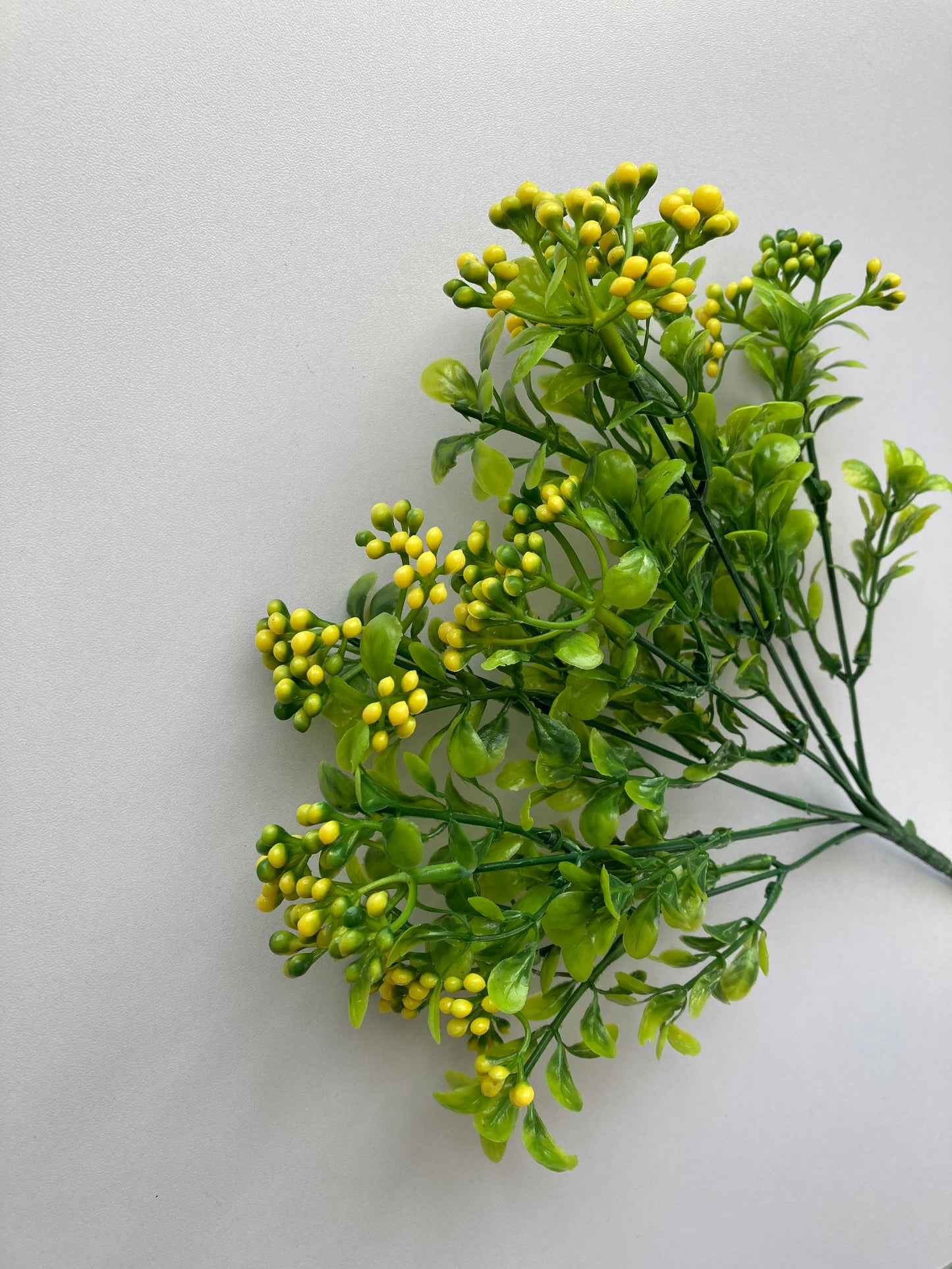 Yellow Berry & Foliage