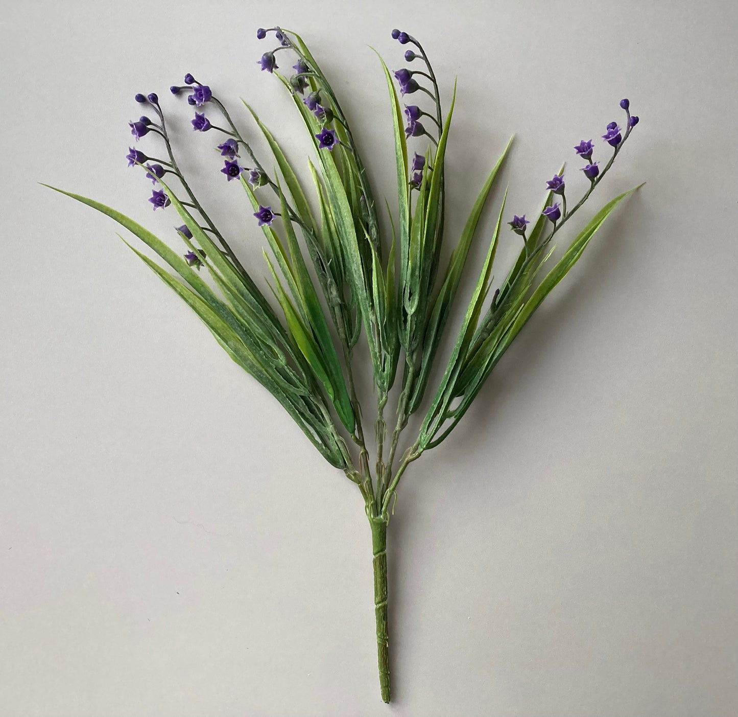 Purple Lily Of The Valley