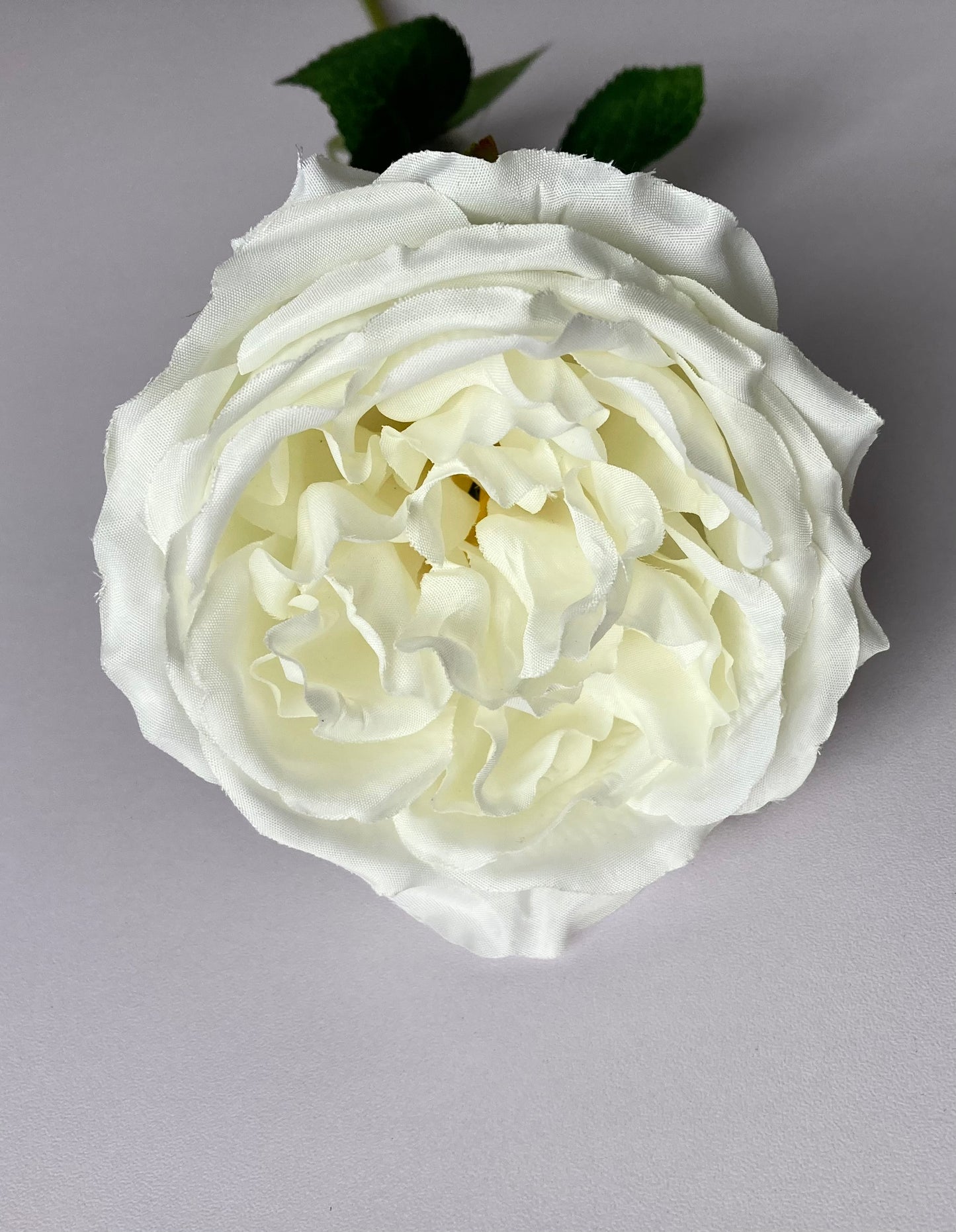 White Open Rose Single Stem