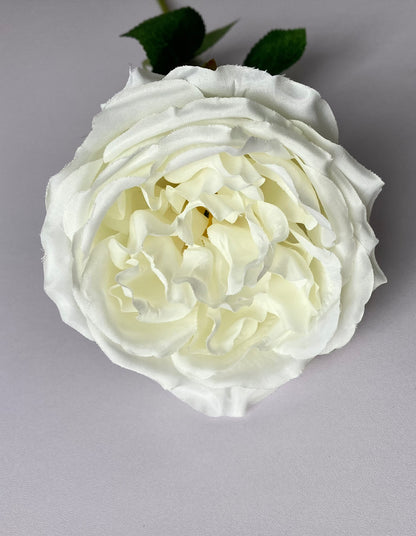 White Open Rose Single Stem