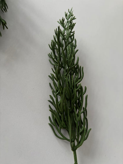 10 Cypress Branch Stems