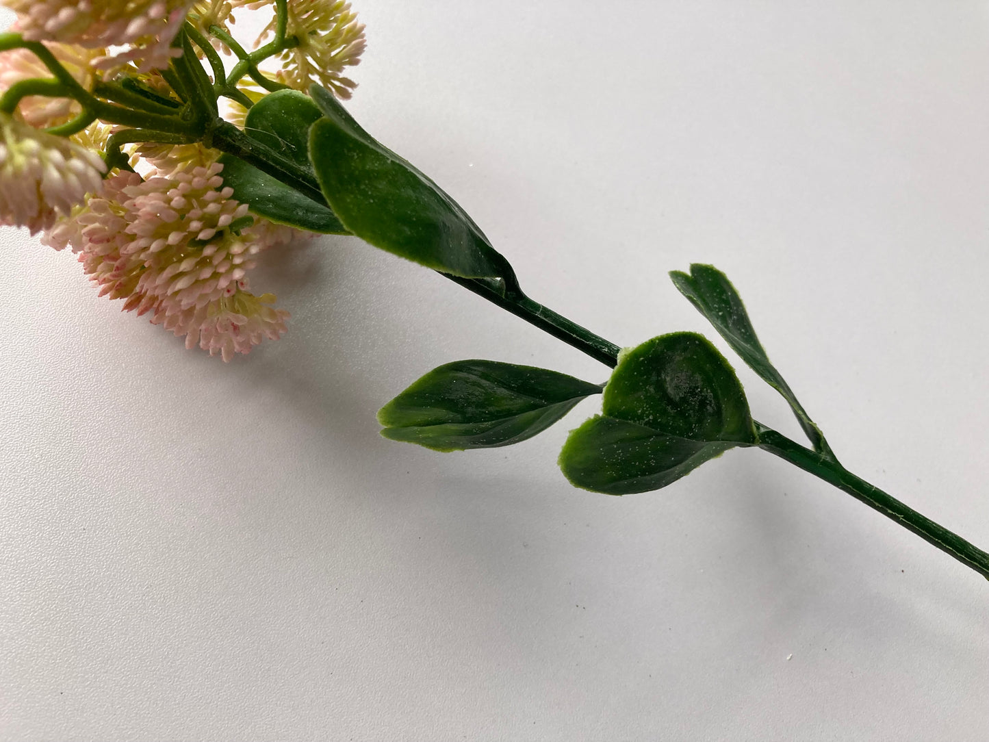 Light Pink Sedum Spray