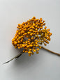 Mustard/Yellow Hydrangea Berry Stem
