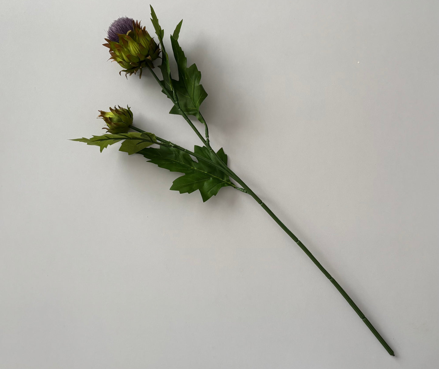 Thistle Spray